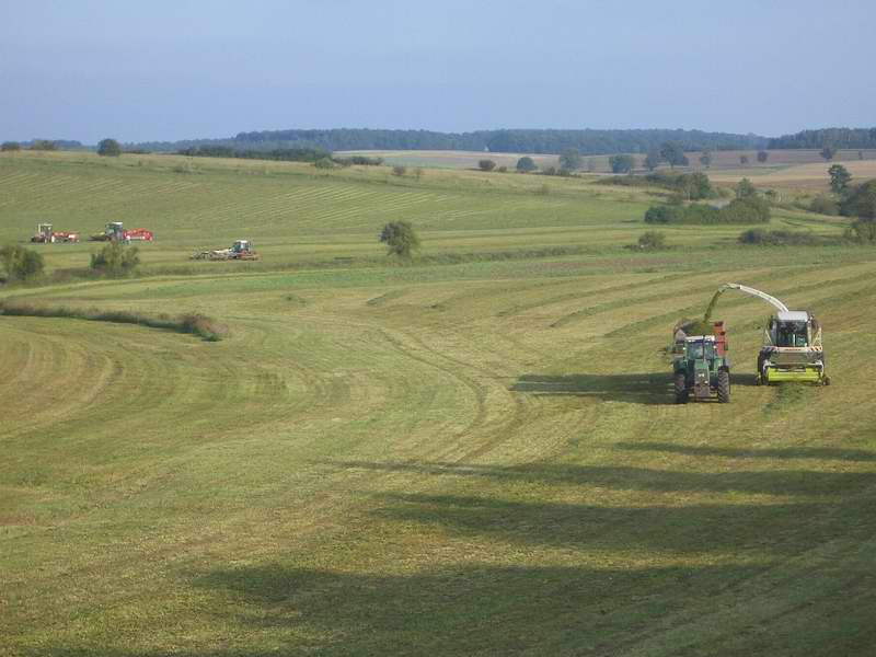 bilder/13_9_2005/jaguar_3x_fendt_zt_323.jpg