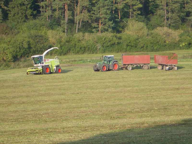 jaguar_fendt_14.jpg