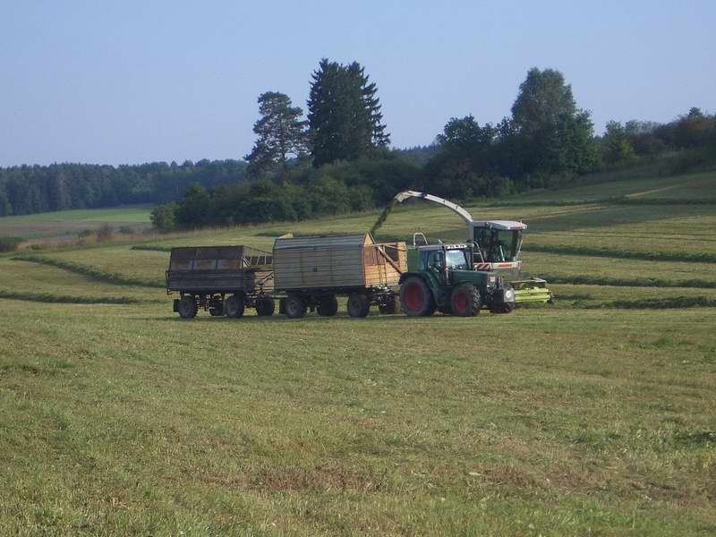 jaguar_fendt_3.jpg