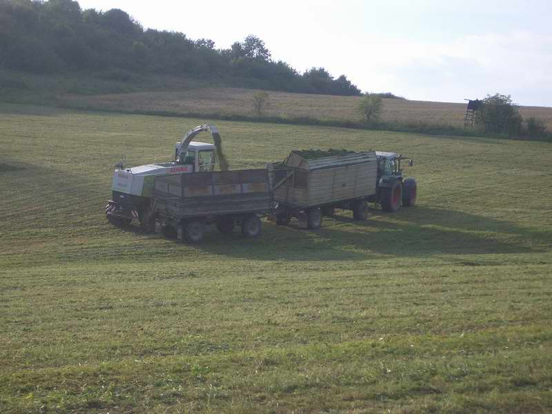 bilder/13_9_2005/jaguar_fendt_4.jpg