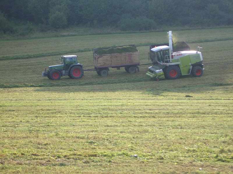jaguar_fendt_6.jpg