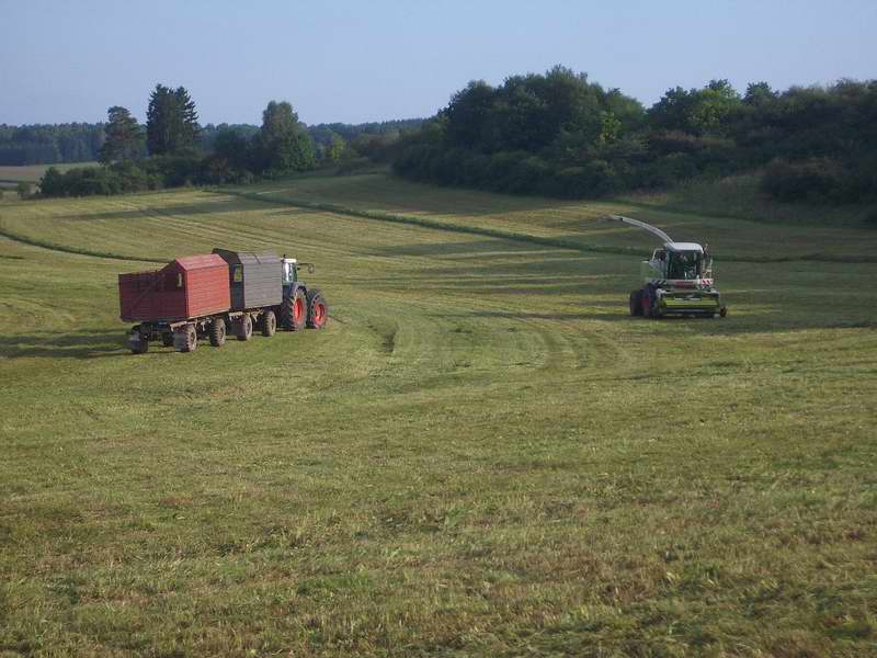 bilder/13_9_2005/jaguar_fendt_7.jpg