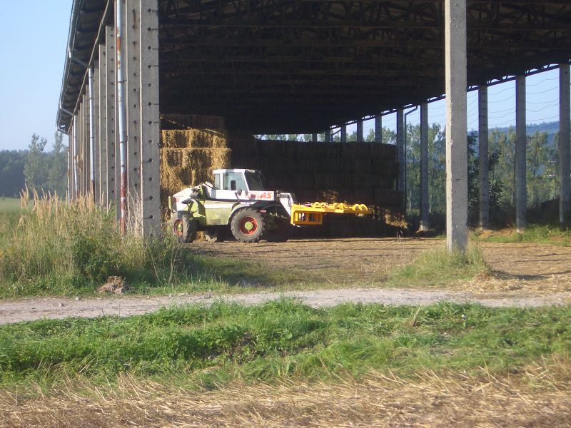 IMGP6011.jpg
