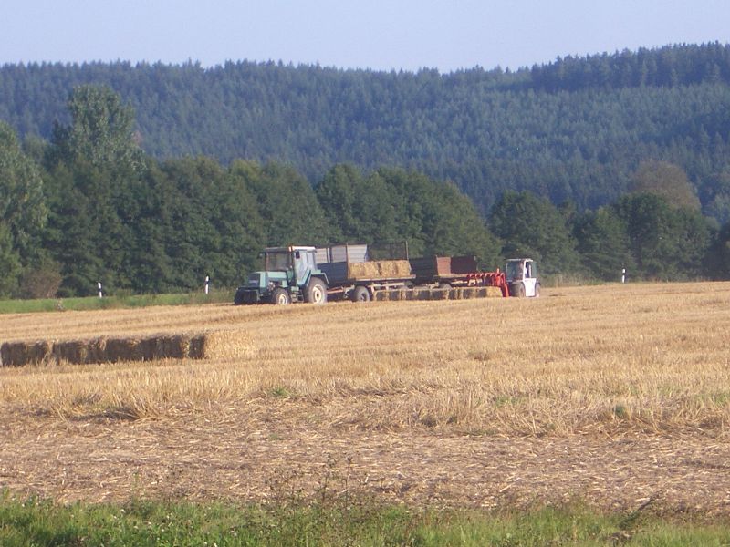 bilder/12_10_2015_3/DSC02842.jpg