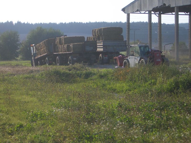 bilder/8_10_2014/CIMG8257.jpg