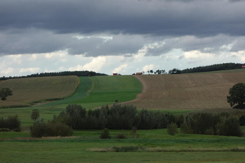 DSC00297.jpg