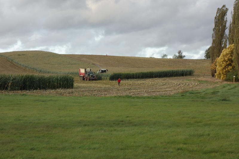 bilder/6_10_2012/CIMG1575.jpg