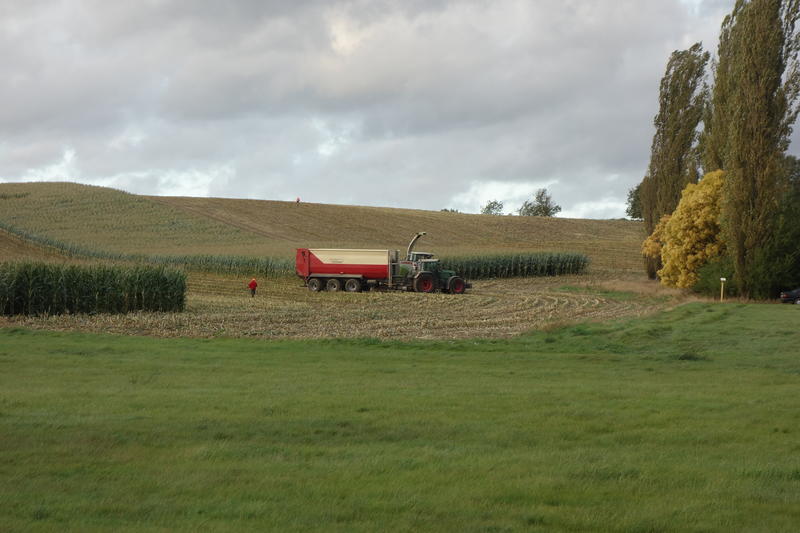 bilder/2024_04_03/DSC07361.jpg