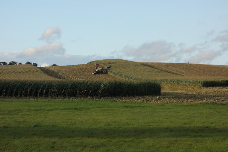 bilder/16_9_2003/fendt_37.jpg