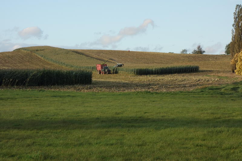 bilder/13_9_2017/DSC00318.jpg