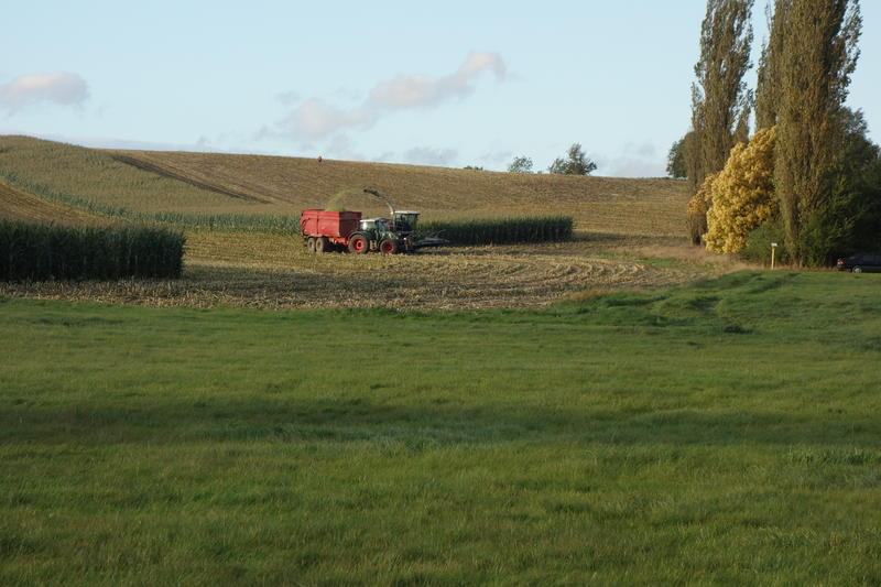 DSC00320.jpg