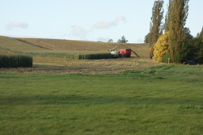 DSC00323.jpg