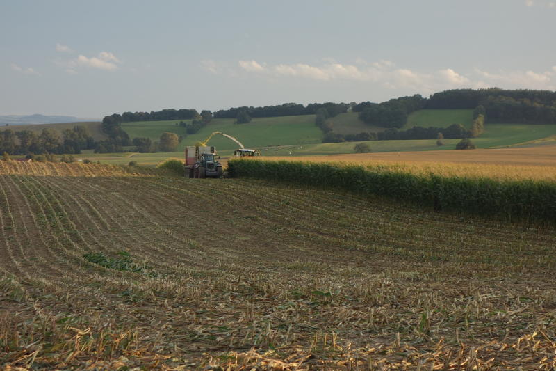 bilder/15_7_2012/2012-07-15153209..jpg