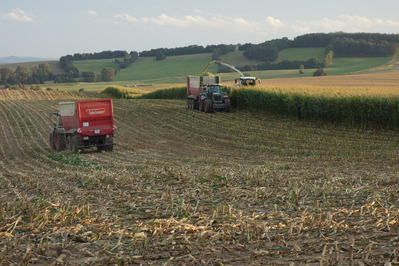 bilder/3_6_2014/CIMG2935.jpg