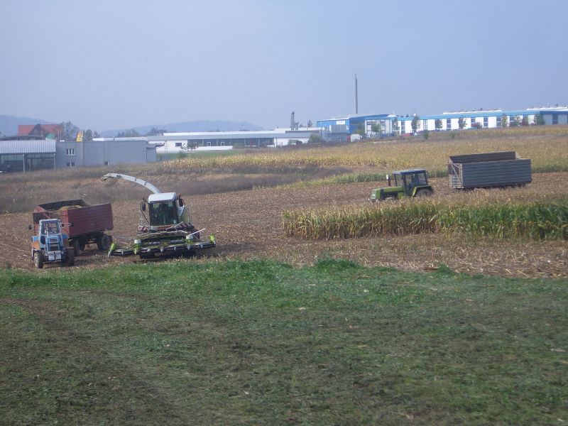 bilder/11_7_2007/DSC00387.jpg