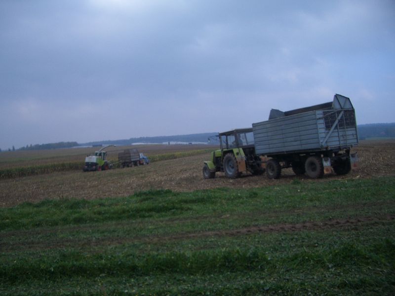 bilder/31_5_2003/jaguar_900_+_fendt_514.jpg