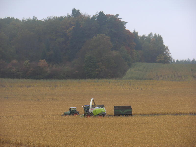 bilder/18_9_2012/CIMG0832.jpg