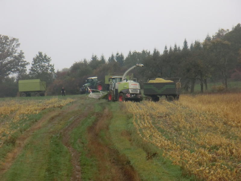 bilder/16_7_2011/CIMG3171.jpg