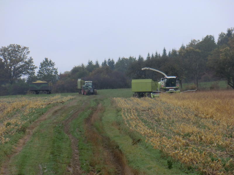 CIMG0245.jpg