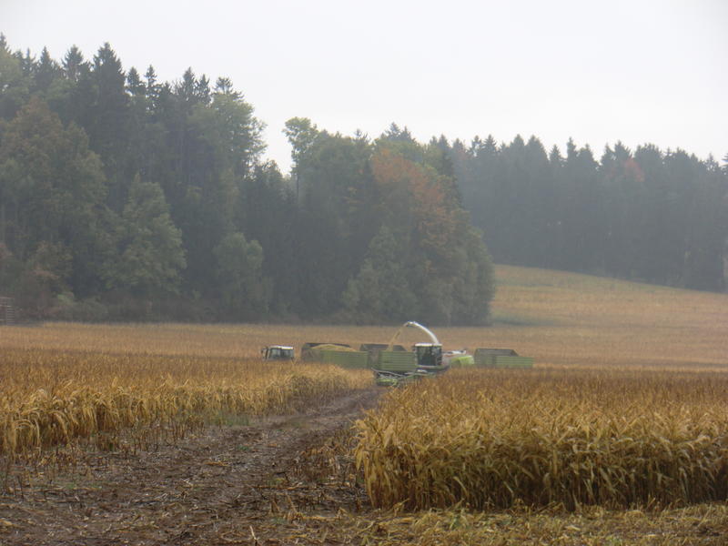 bilder/14_10_2013/CIMG0260.jpg