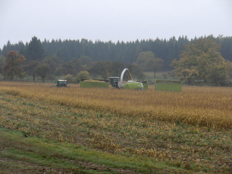 bilder/14_10_2013/CIMG0261.jpg