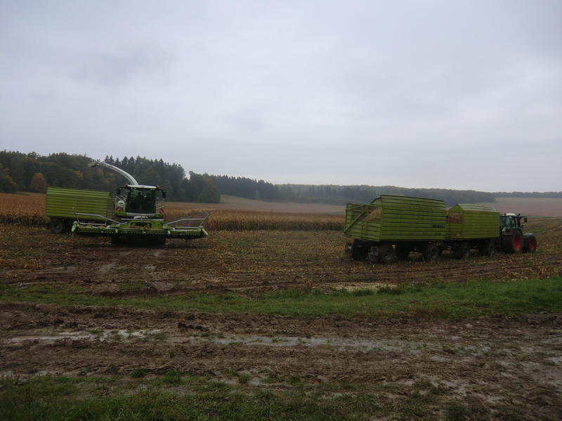 CIMG0267.jpg