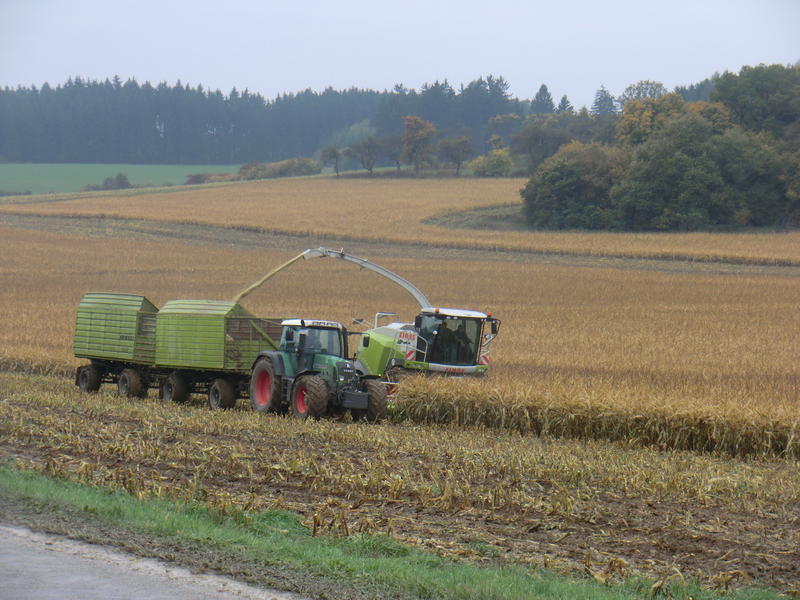 CIMG0288.jpg