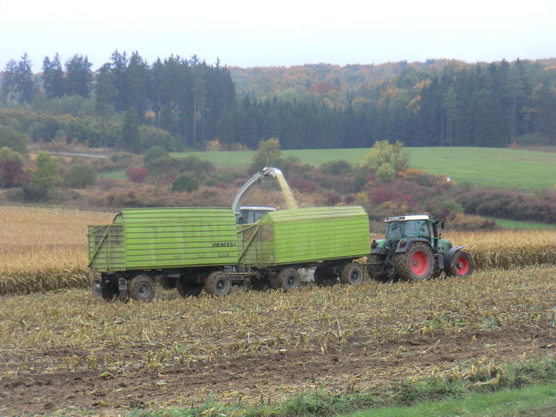 bilder/14_10_2013/CIMG0290.jpg