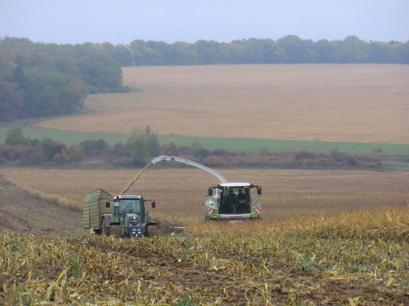 bilder/14_10_2013/CIMG0306.jpg