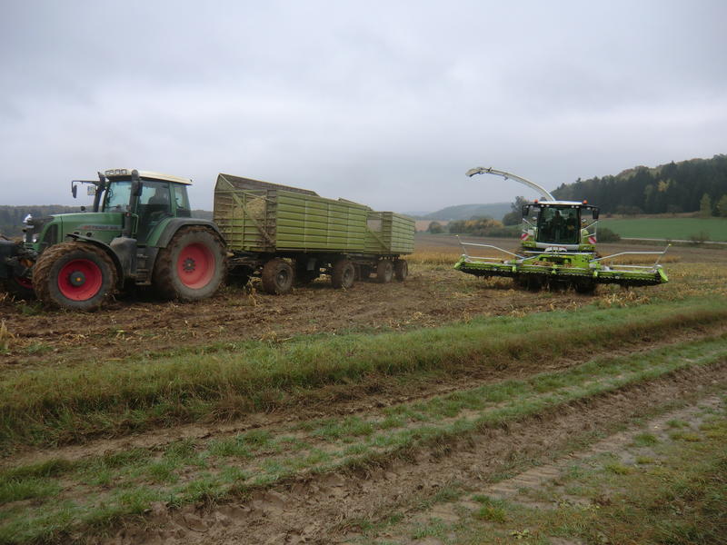 bilder/28_5_2012/CIMG8546.jpg