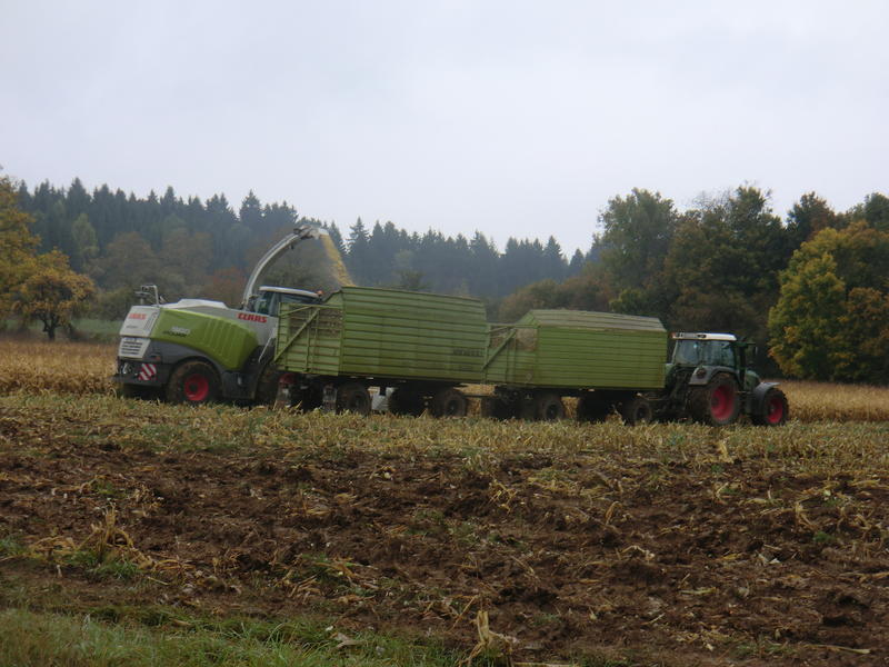 CIMG0326.jpg