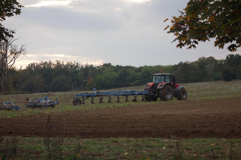 bilder/13_9_2002_2/fendt_514_8.jpg