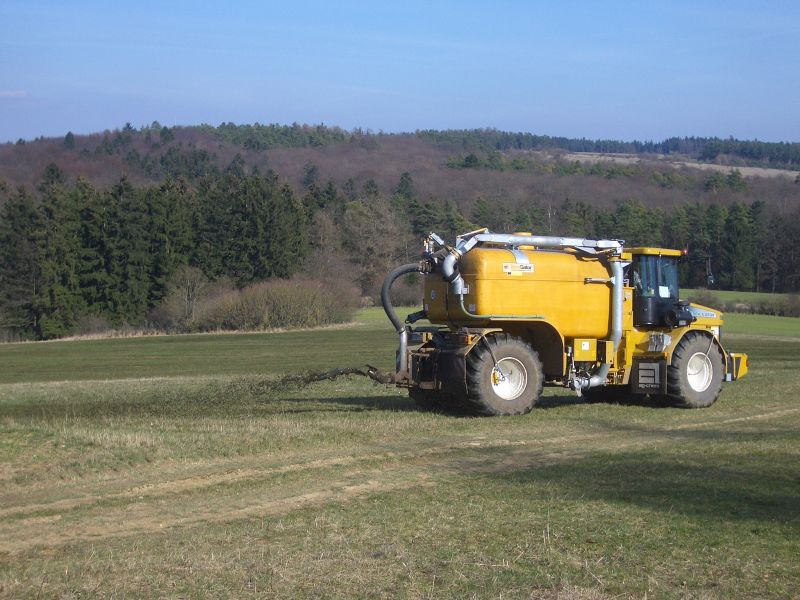 bilder/25_7_2001/mega.jpg