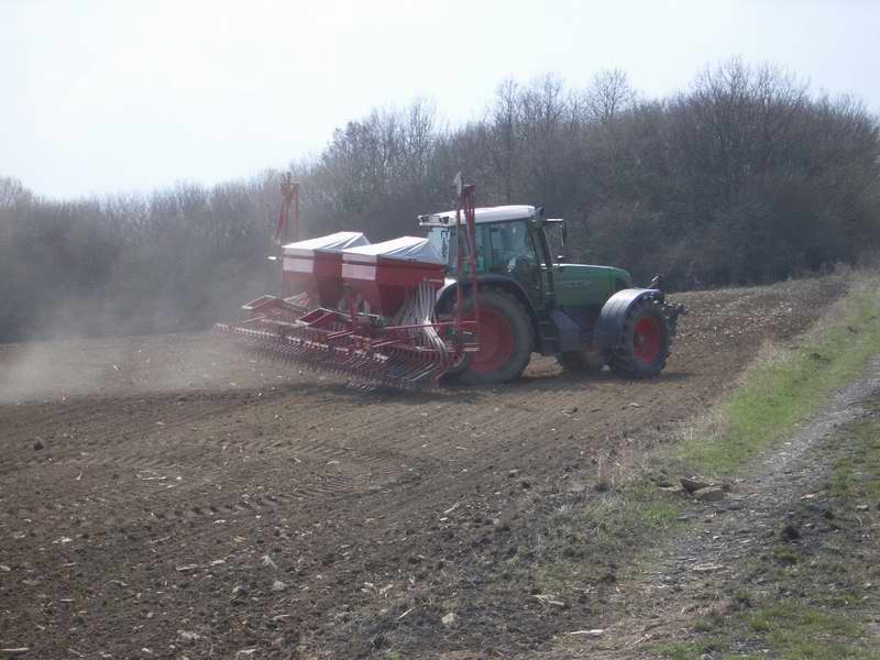 bilder/25_8_2002/lexion_43.jpg