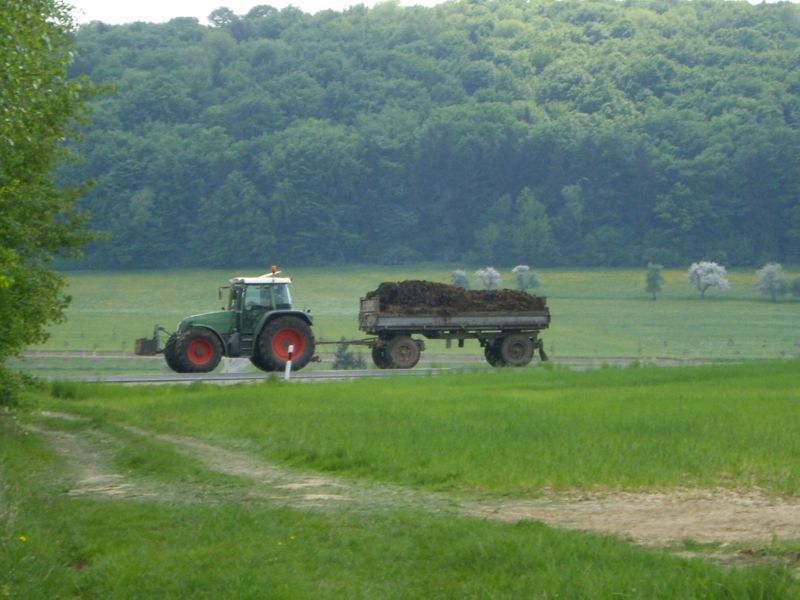 IMGP8897.jpg