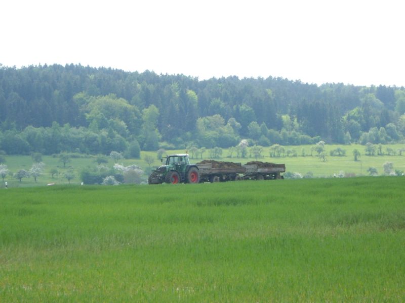 IMGP8904.jpg