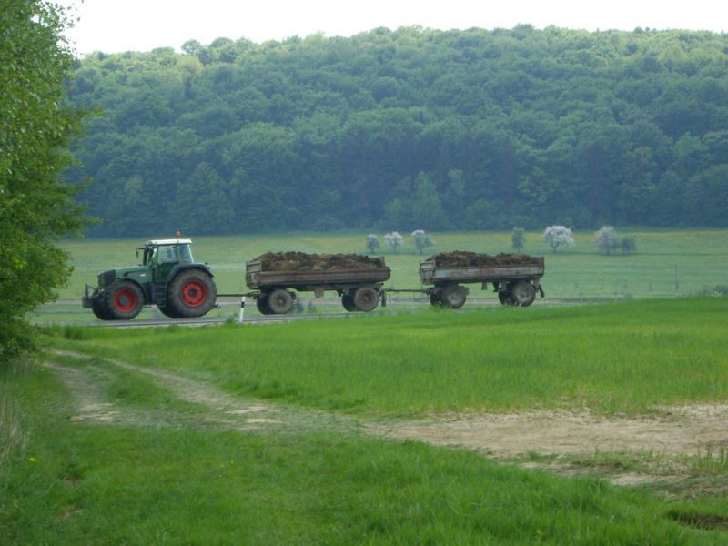 IMGP8906.jpg