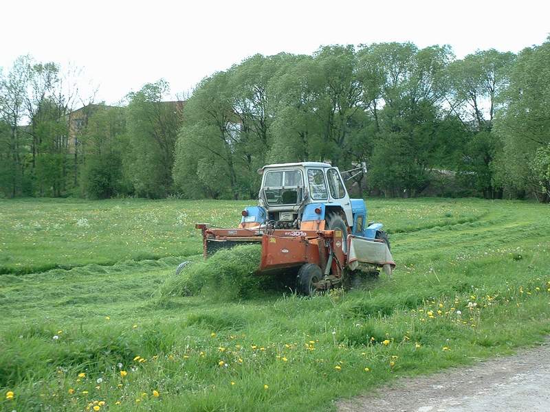 zt_303_3.jpg