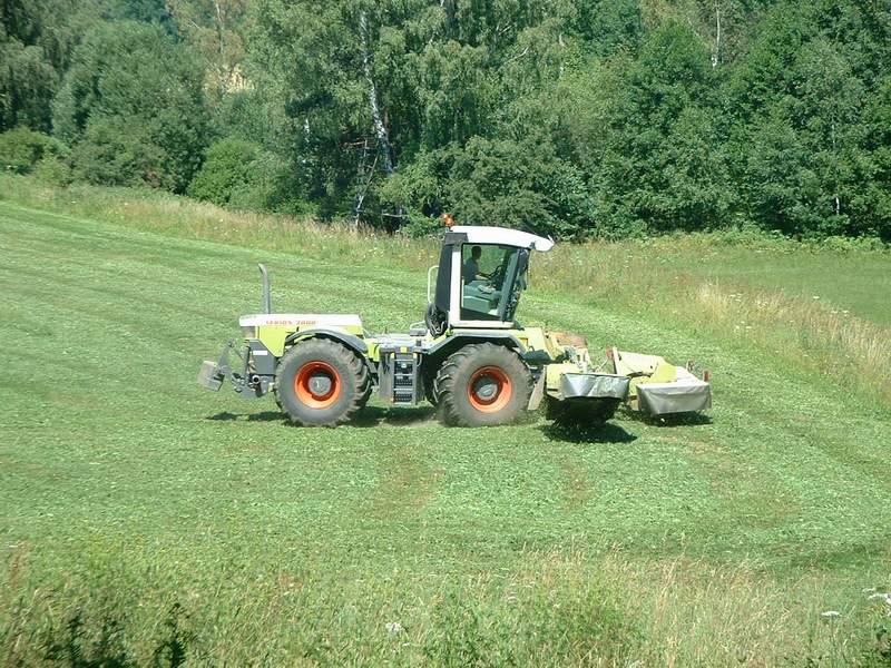 xerion_10.jpg