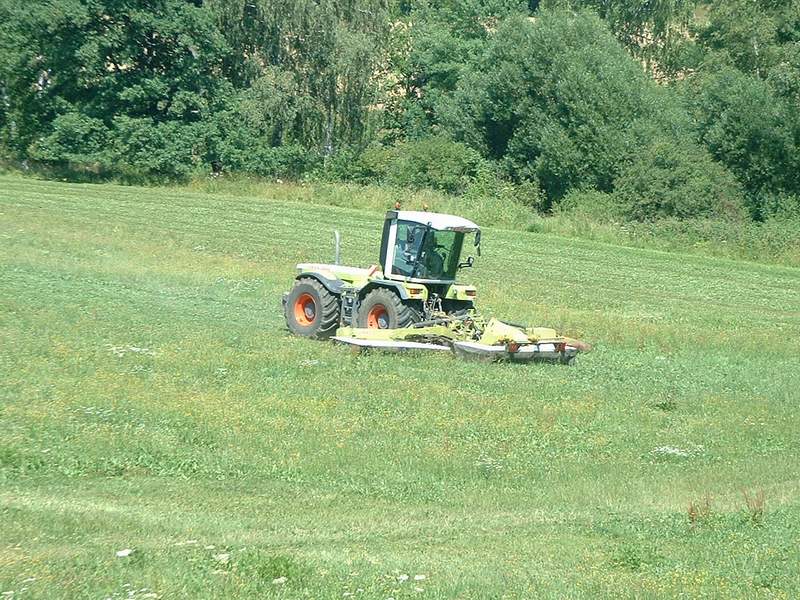 xerion_4.jpg