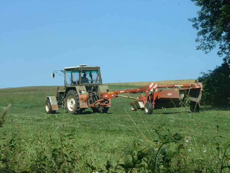 zt_323_10.jpg