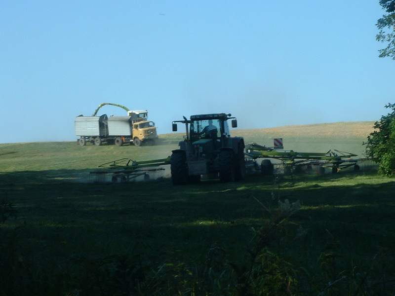 bilder/19_5_2005/jaguar_fendt_514_3.jpg