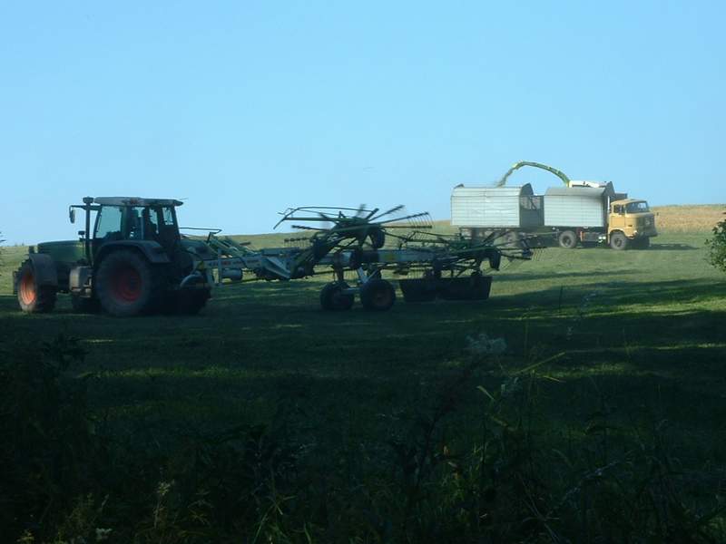 jaguar_+_w50_+_fendt_514_3.jpg