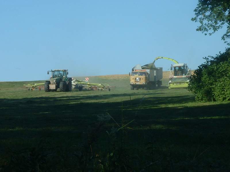 jaguar_+_w50_+_fendt_514_4.jpg