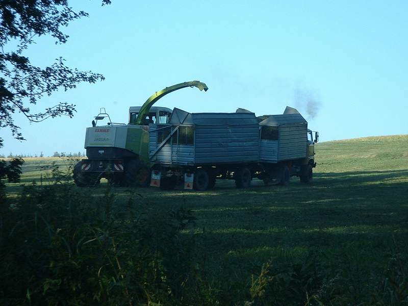 bilder/2024_08_06/DSC08956.jpg