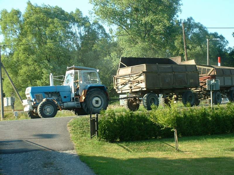 zt_303.jpg