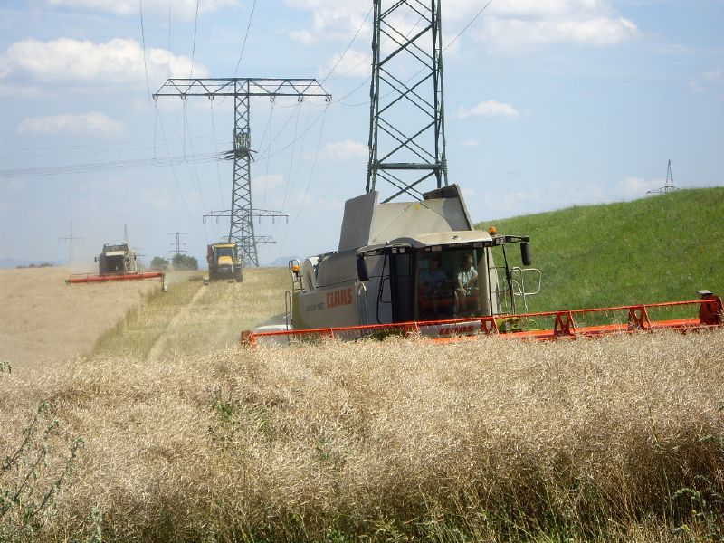 IMGP0312.jpg