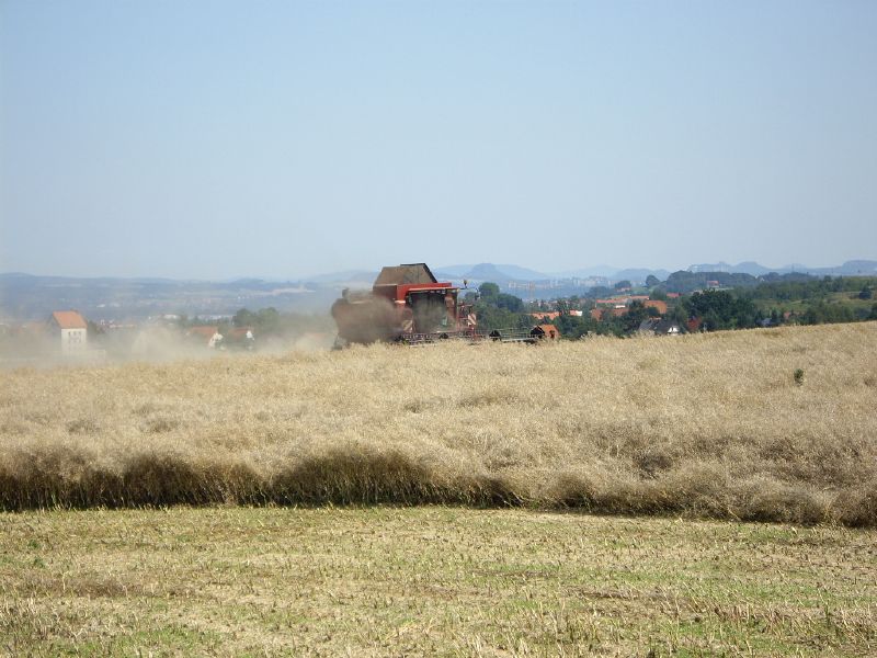 bilder/31_5_2003/jaguar_900_+_fendt_824_4.jpg