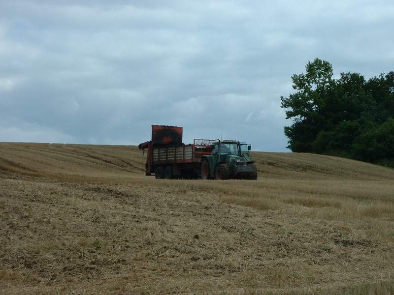bilder/14_8_2002/fendt_716_5.jpg