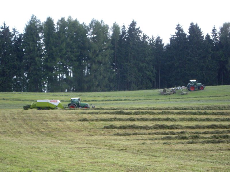 IMGP0697.jpg